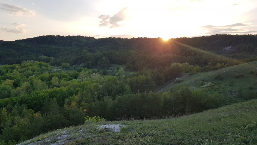 20190509_184018.thumb.jpg.2a1caa3a921a9eab7593e237ac86a001.jpg