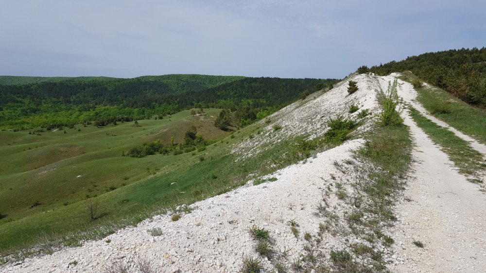 20190511_102939.thumb.jpg.793d2a32fad57eccce40201752b0a3ff.jpg
