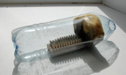 post-19-1275844622_thumb.jpg