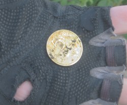 post-590-1278719795_thumb.jpg